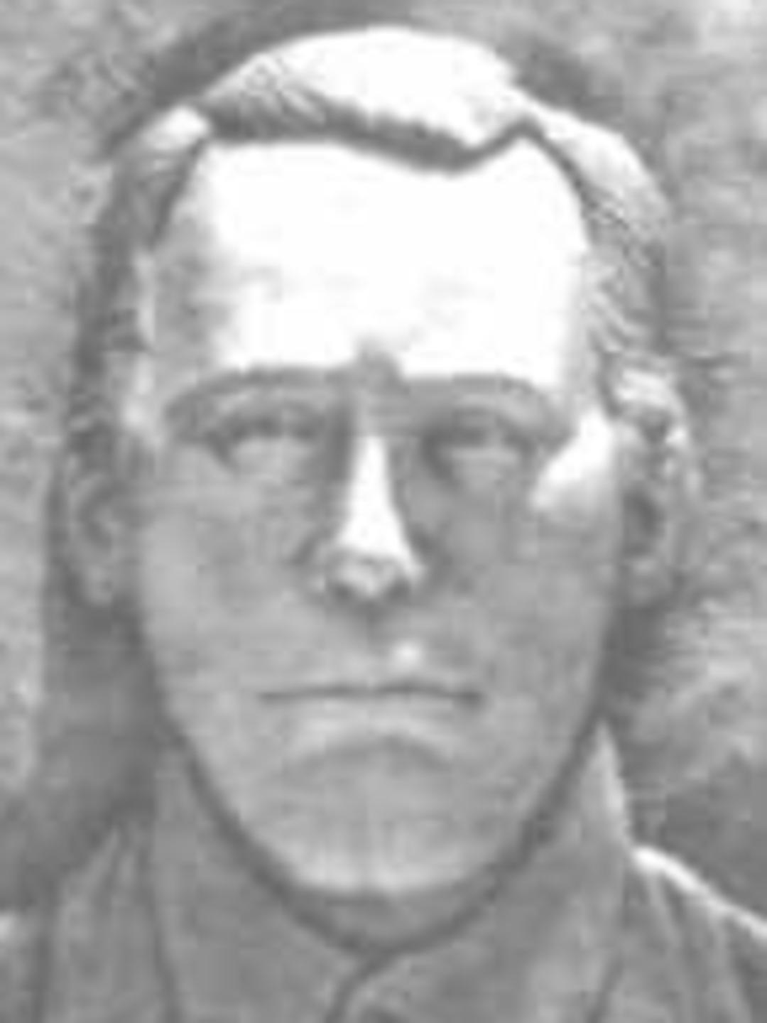 Allen Freeman Smithson (1816 - 1877) Profile